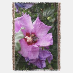 Couverture Bumblebebe sur la fleur d'Hibiscus
