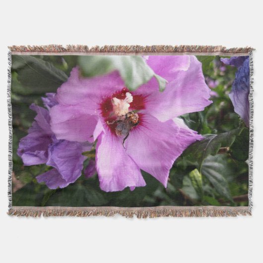 Couverture Bumblebebe sur la fleur d'Hibiscus (Devant)