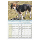 couverture, calendrier de beagle (Feb 2026)