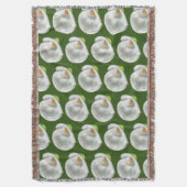 Couverture Calla Lilly (devant Vertical)