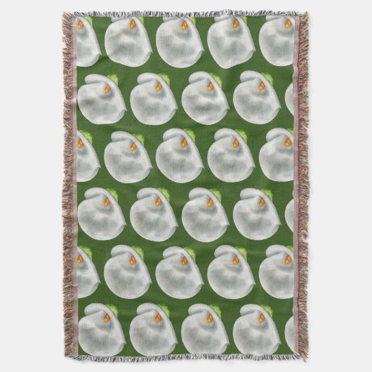 Couverture Calla Lilly (devant Vertical)