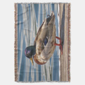 Couverture Canard colvert au bord de la plage (devant Vertical)