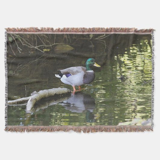 Couverture Canard de Mallard (Devant)