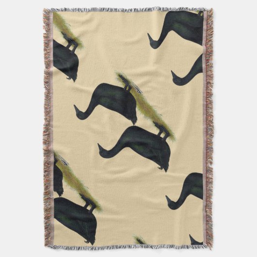 Couverture Canards : Cayugas noirs (devant Vertical)
