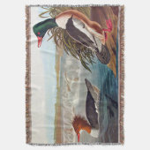 Couverture Canards colverts américains dans une rivière nagea (devant Vertical)