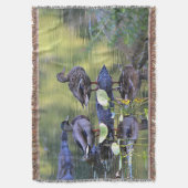 Couverture Canards de Mallard (devant Vertical)