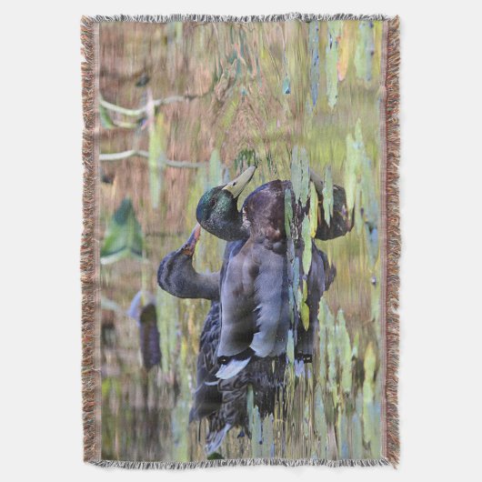 Couverture Canards de Mallard (devant Vertical)