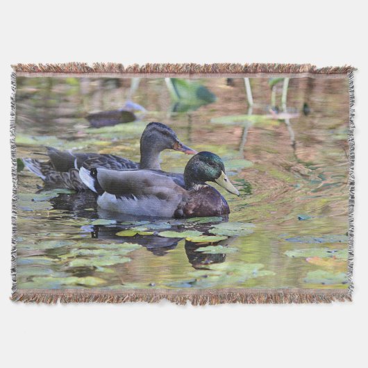 Couverture Canards de Mallard (Devant)
