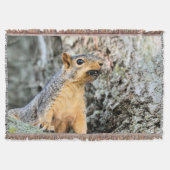 Couverture Capsule Cicada (Devant)