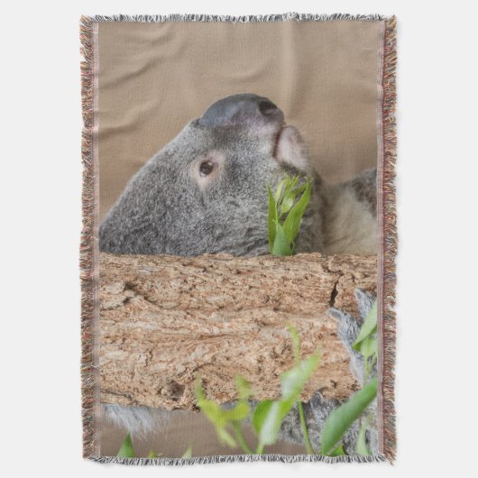 Couverture Capture d'écran Koala (devant Vertical)