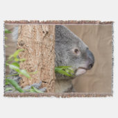 Couverture Capture d'écran Koala (Devant)