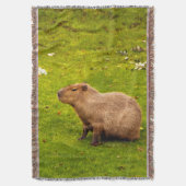 Couverture Capybara (devant Vertical)
