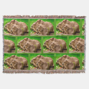 Couverture Capybara Trio