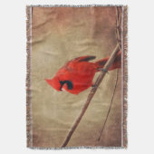 Couverture Cardinal (devant Vertical)