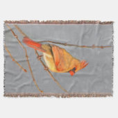 Couverture Cardinal sur la peinture de branche - Art original (Devant)