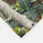 couverture cardinale d'ouatine (Coin)