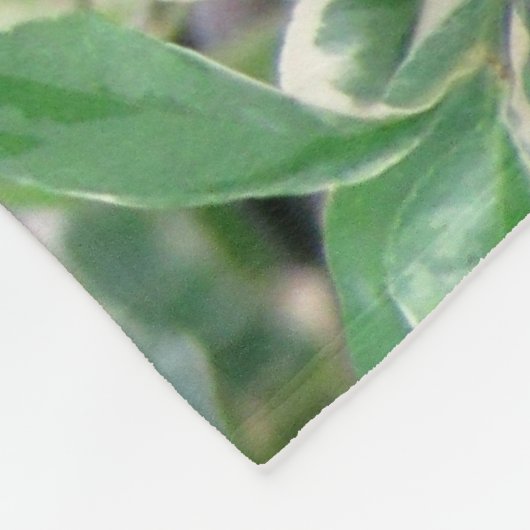 Couverture cardinale en polaire (Coin)