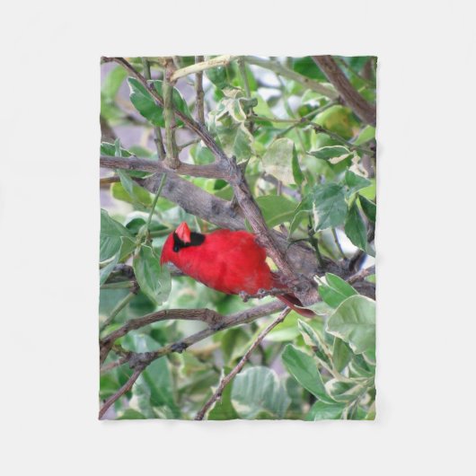 Couverture cardinale en polaire (Devant)