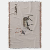 Couverture Caribou des bois (devant Vertical)