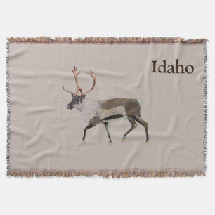 Couverture Caribou des bois