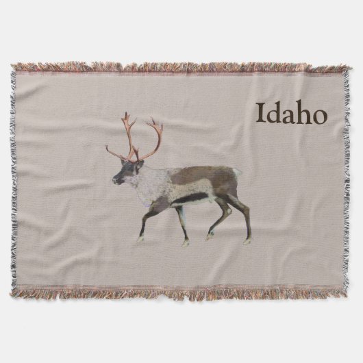 Couverture Caribou des bois (Devant)
