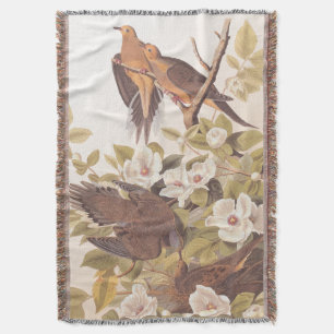Couverture Carolina Pigeon ou Dove en deuil