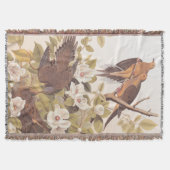 Couverture Carolina Pigeon ou Dove en deuil (Devant)