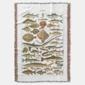 Couverture Carte de poisson esthétique de biologie marine (devant Vertical)