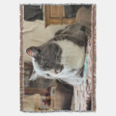 Couverture Cat (devant Vertical)