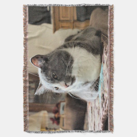 Couverture Cat (devant Vertical)