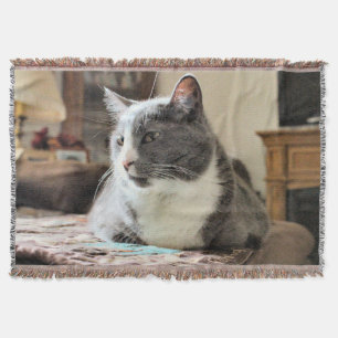 Couverture Cat