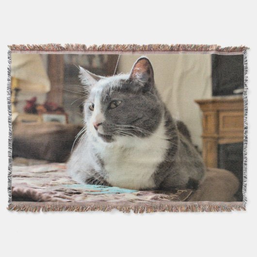 Couverture Cat (Devant)