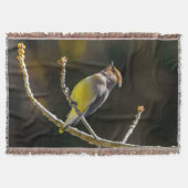 Couverture Cèdre cire Songbird Photo originale Oiseau sauvage (Devant)