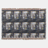 Couverture Cenosillicaphia, Singapour (Devant)