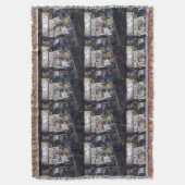 Couverture Cenosillicaphia, Singapour (devant Vertical)