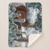 couverture cerf curiosité (Devant)