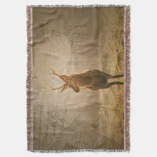 Couverture Cerf dans la forêt (devant Vertical)