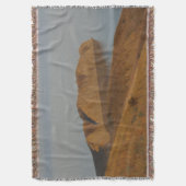 Couverture Chameleon (devant Vertical)