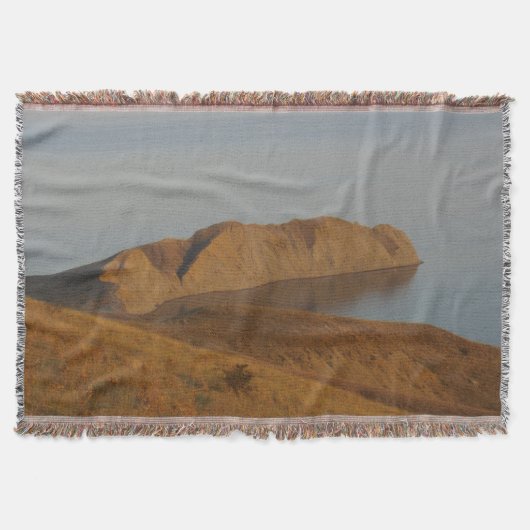 Couverture Chameleon (Devant)