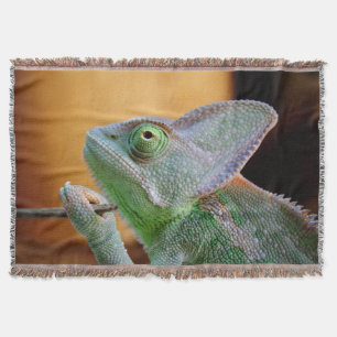 Couverture Chameleon voilé
