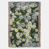 Couverture Champ de marguerite du printemps : Arrière - plan  (devant Vertical)
