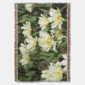 Couverture Champ de tulipes blanches (devant Vertical)