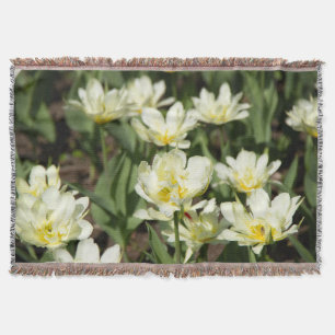 Couverture Champ de tulipes blanches