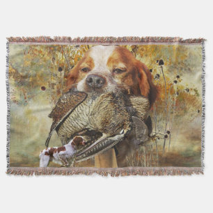Couverture Chasse à la bécasse avec Bretagne Spaniel
