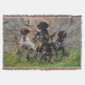 Couverture Chasse faisan avec GSP (Devant)