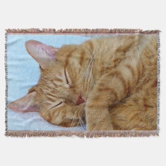 Couverture Chat couché (Devant)