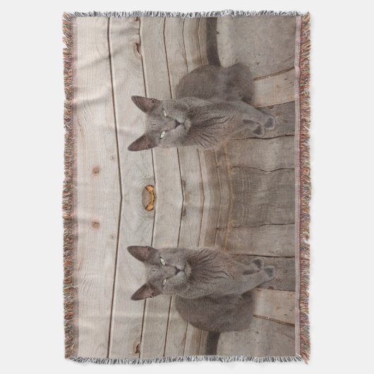 Couverture Chat gris (devant Vertical)