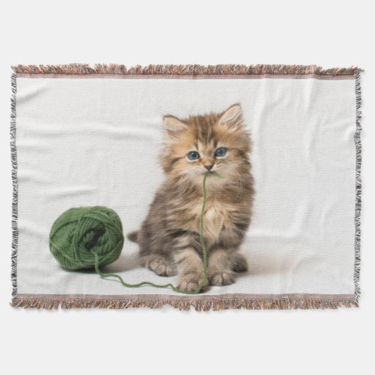 Couverture Chaton avec le fil vert (Devant)