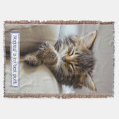 Couverture Chaton dormant (Devant)