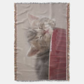 Couverture Chaton dormant dans une cuvette (devant Vertical)
